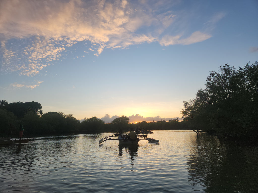 Kongo River Diani Sunset Cruise